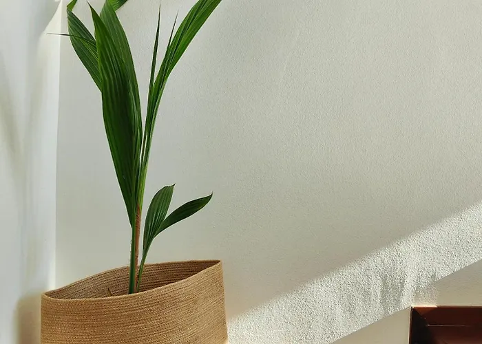 Con Vista Mozzafiato * Lazise